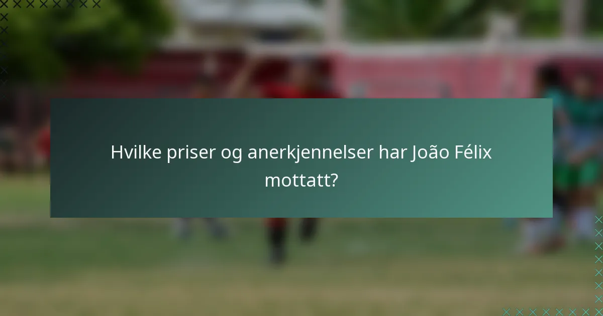 Hvilke priser og anerkjennelser har João Félix mottatt?