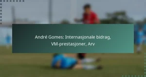 André Gomes: Internasjonale bidrag, VM-prestasjoner, Arv