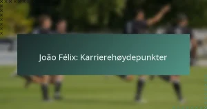 João Félix: Karrierehøydepunkter